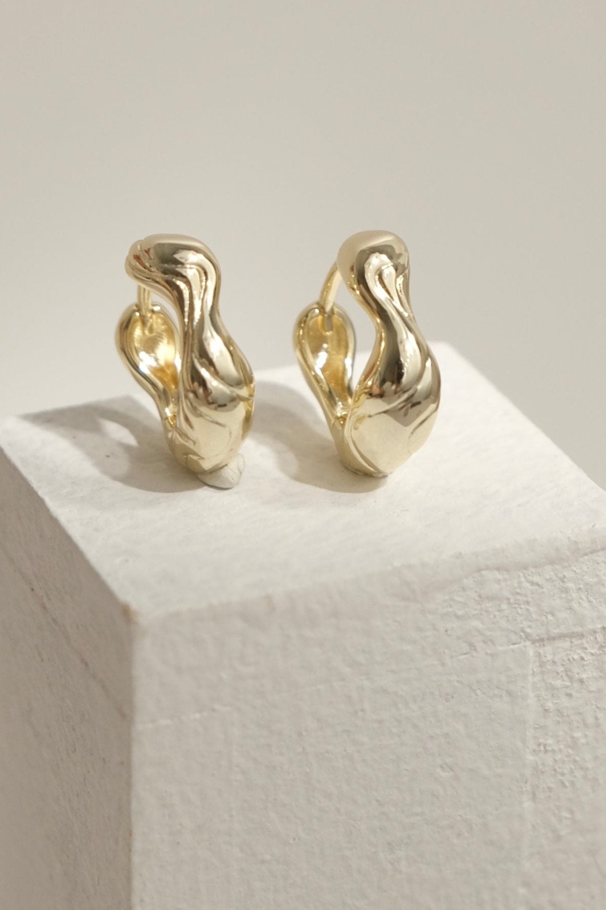 Luca Earrings In Gold