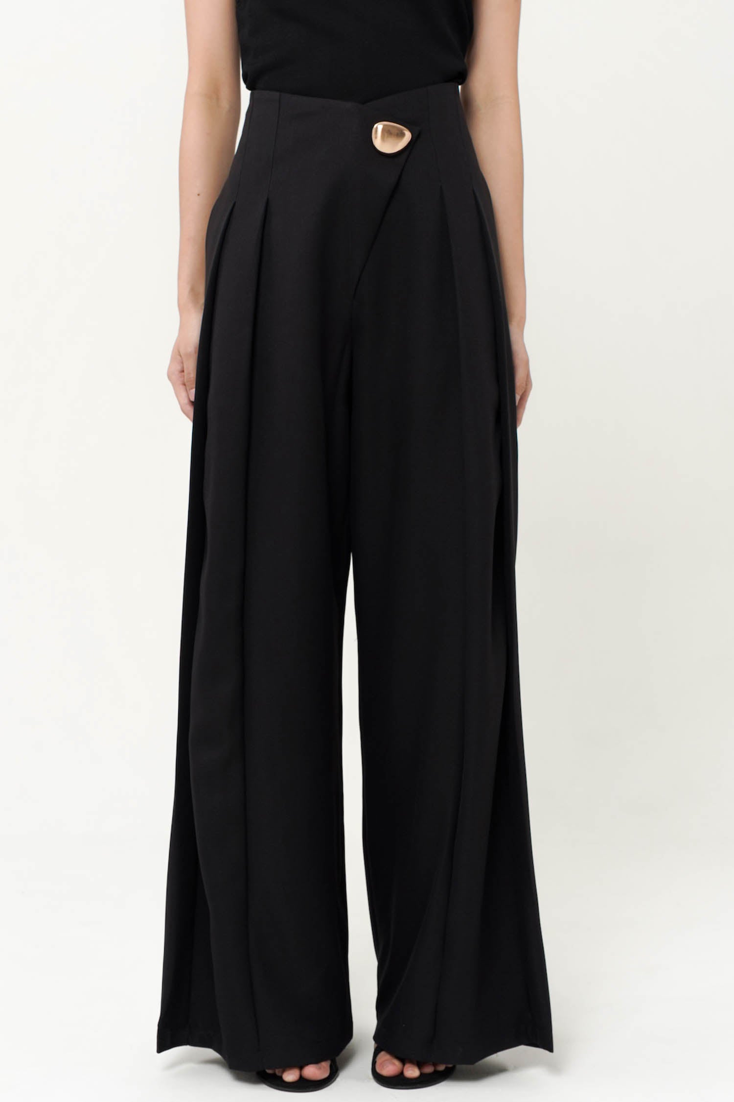 Brinley V-waist Pleated Wide-Legged Pants In Black