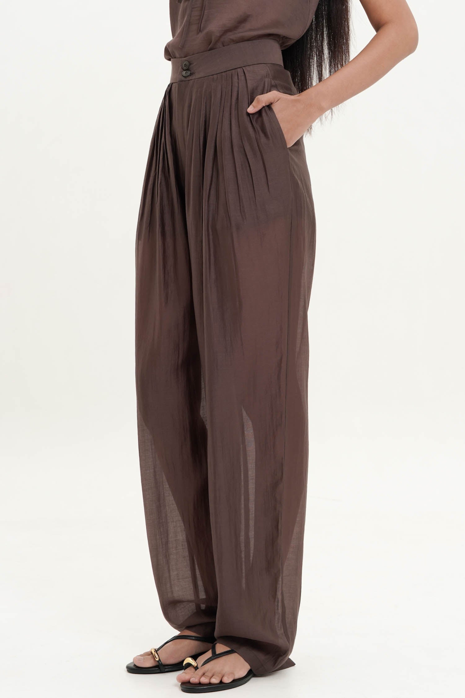 Mabelle Pleated Sheer Trousers In Espresso
