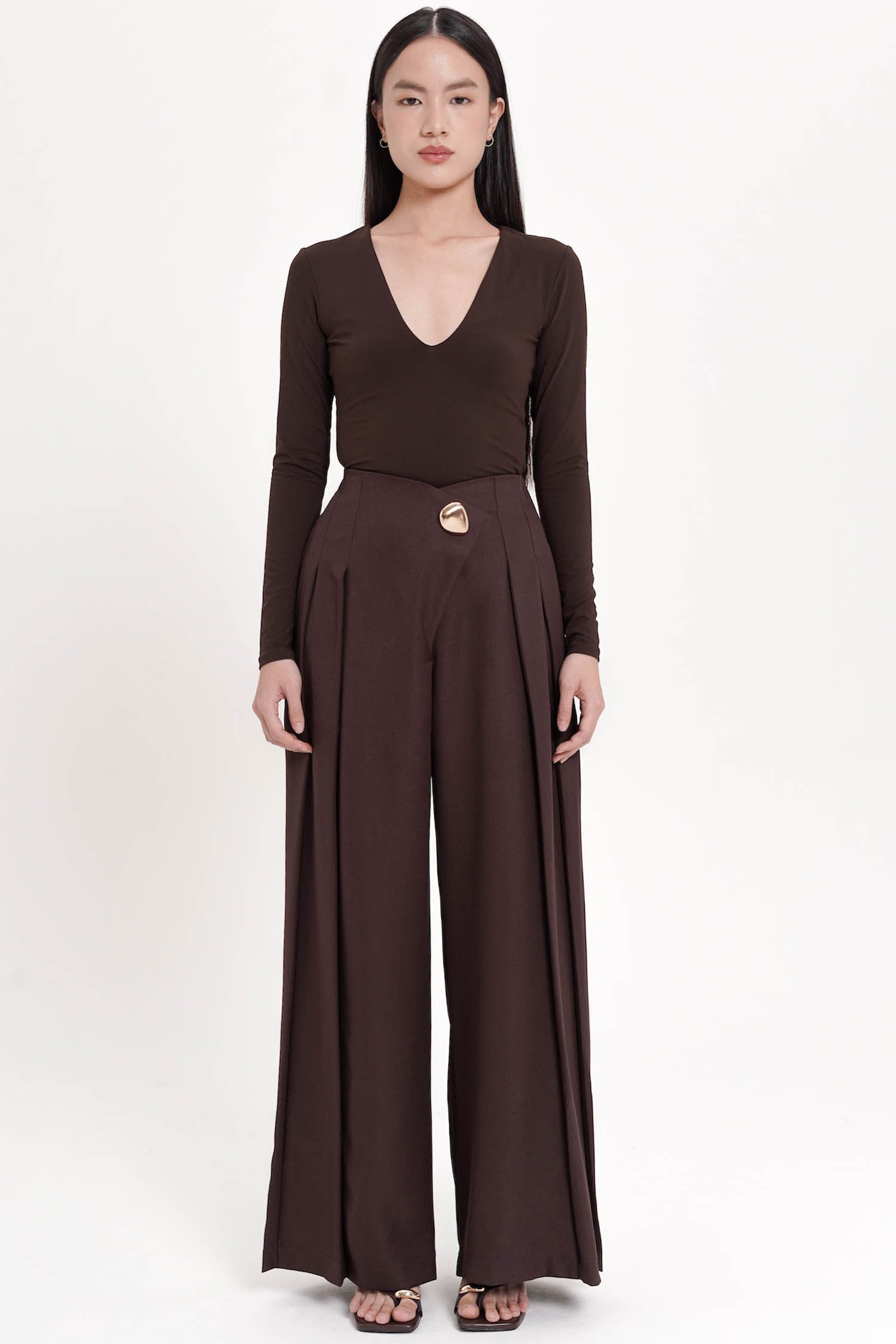 Brinley V-waist Pleated Wide-Legged Pants In Espresso