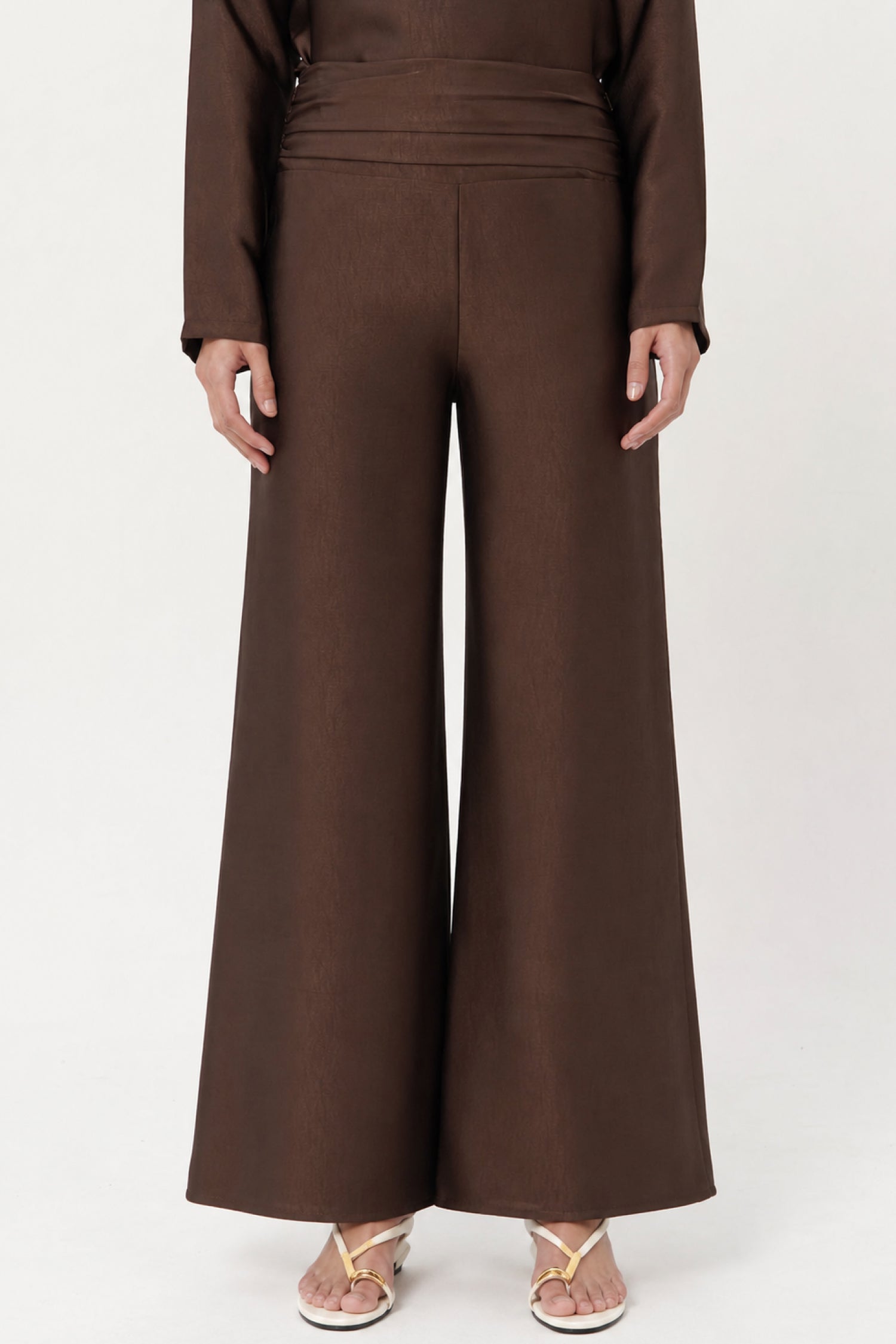 Anessa Pleated Trousers In Espresso