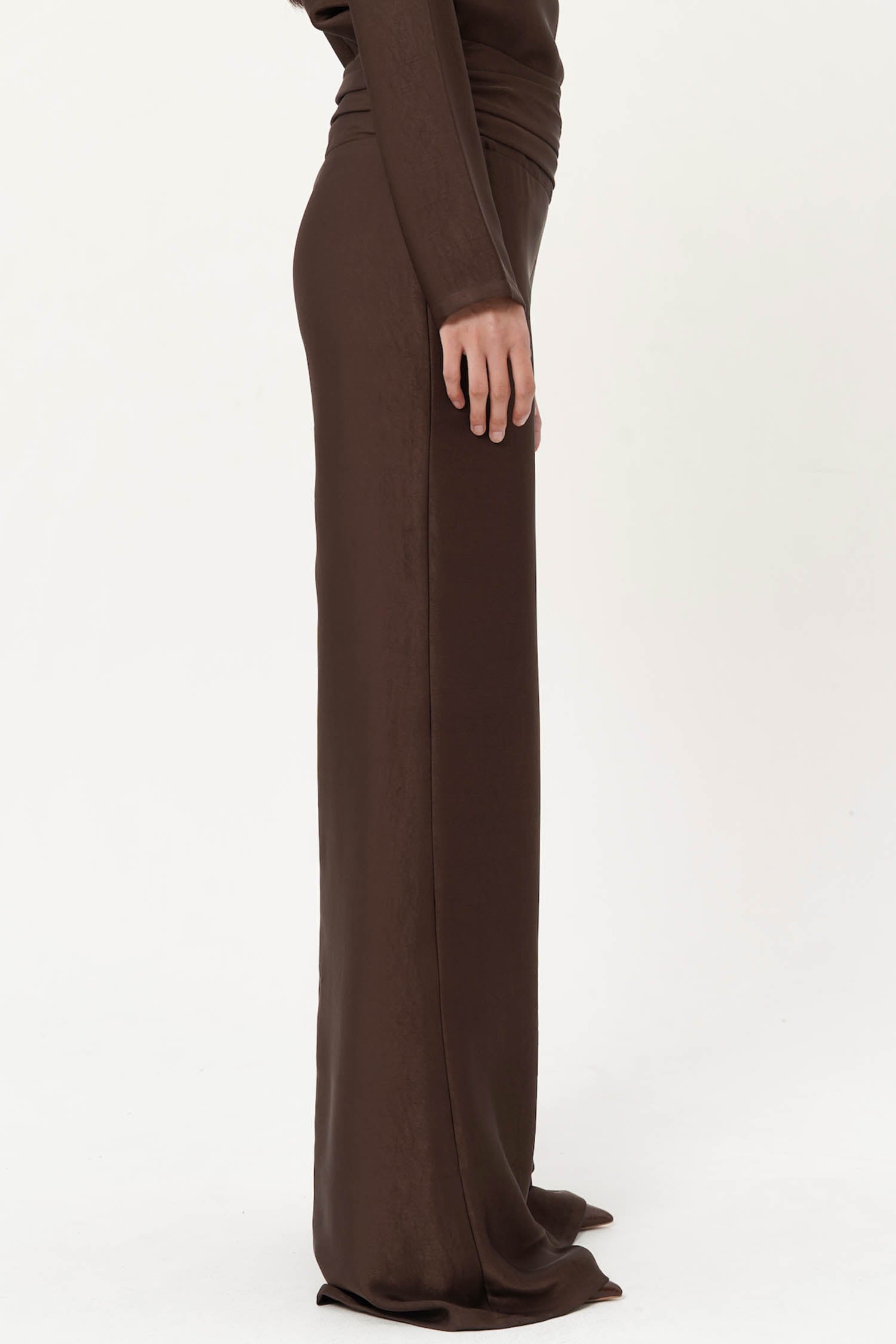 Anessa Pleated Trousers In Espresso