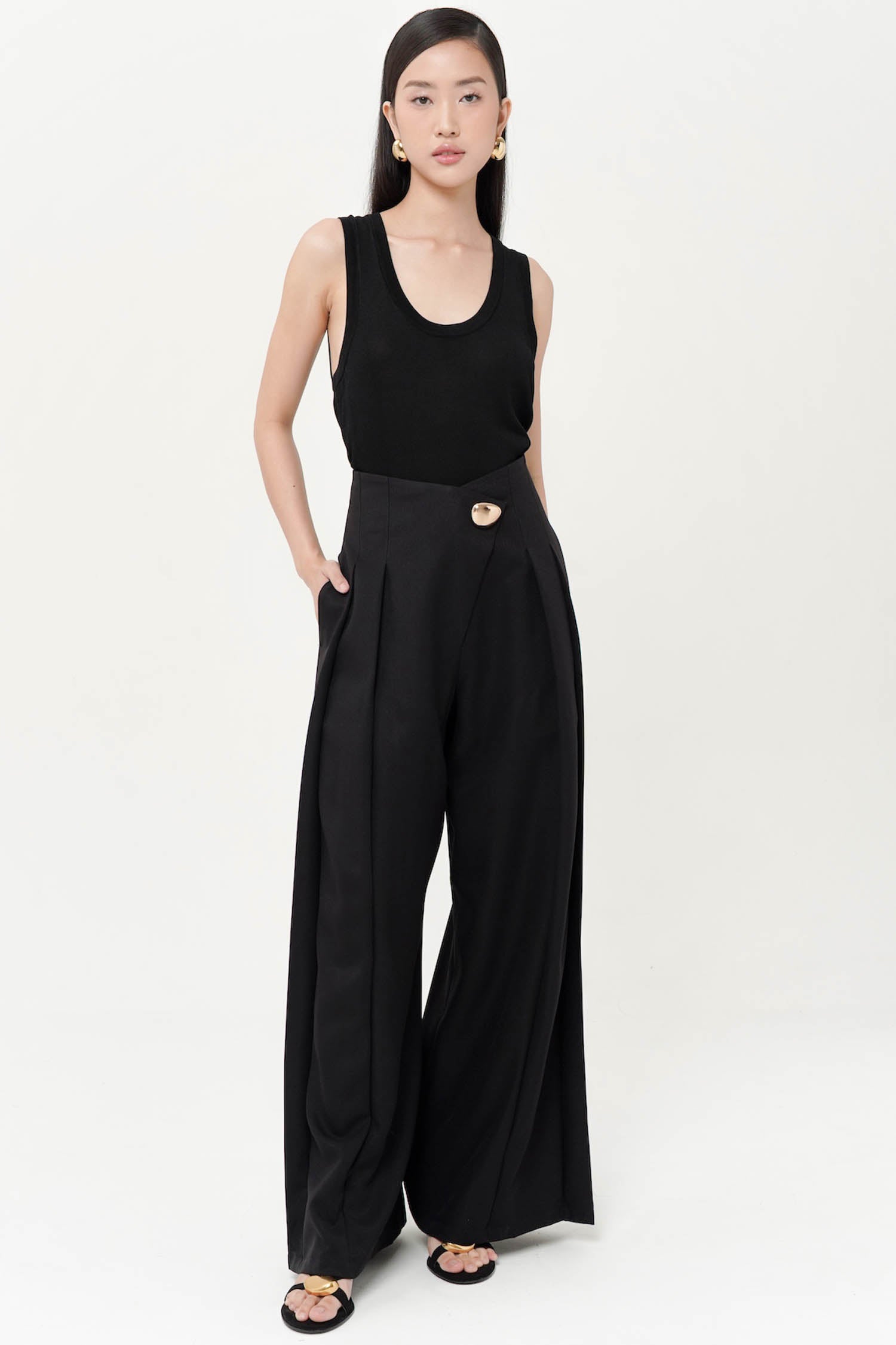 Brinley V-waist Pleated Wide-Legged Pants In Black